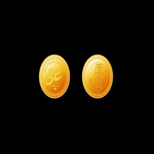 30周年(nián)慶